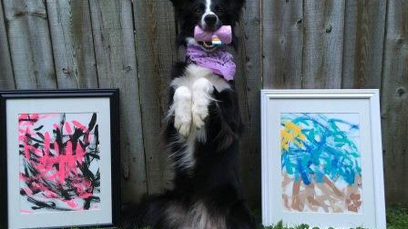 Chloe the talented border collie will be showing off her Canine Canvas Skills at Paws-A-Palooza fund-raising event Saturday in Monroe. CONTRIBUTED