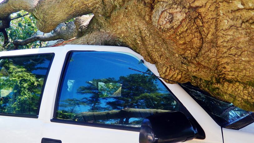 File photo of a tree that's fallen on a car.