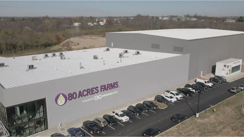 This image gives an idea of the scale of the indoor growing farm owned by 80 Acres in Hamilton's Enterprise Park industrial park. Several layers of crops are stacked above each other. PROVIDED