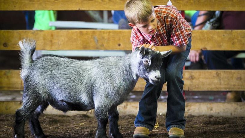 Thousands of people love to see the animals raised by local 4-H kids. Pictured is Adam Bundy, 10, of Okeana, who won junior champion with his pygmy wether goat at the Butler County Fair in 2014. GREG LYNCH/FILE
