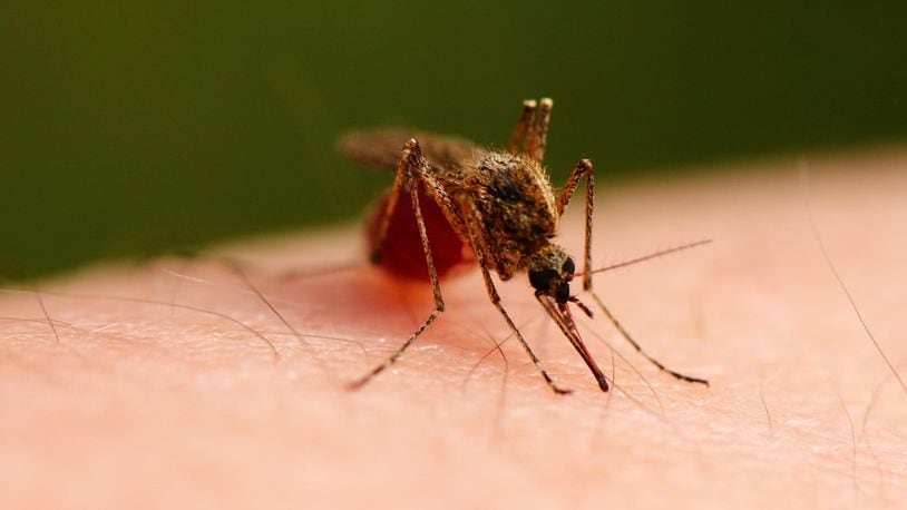 The first case of the human West Nile virus in Ohio in 2017 was reported. (Dreamstime/TNS)