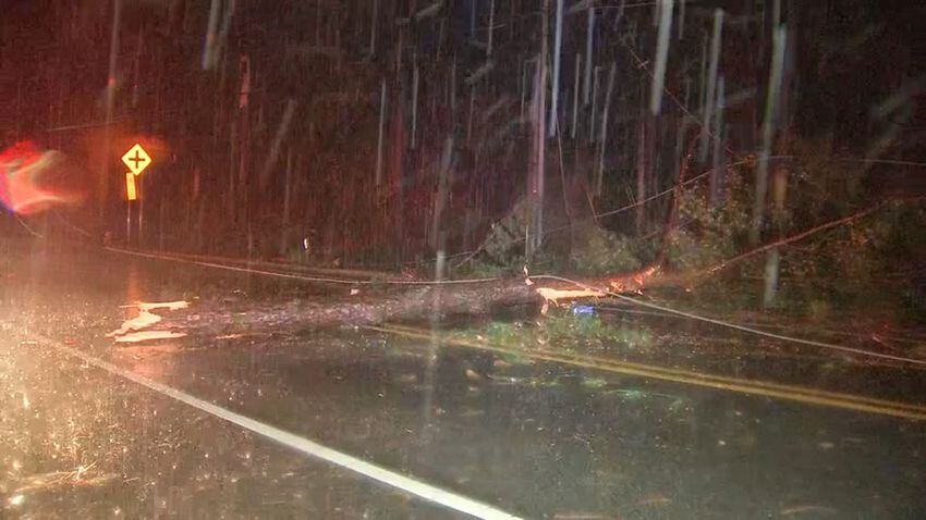 Photos: Storms blow through the south, leave damage in wake