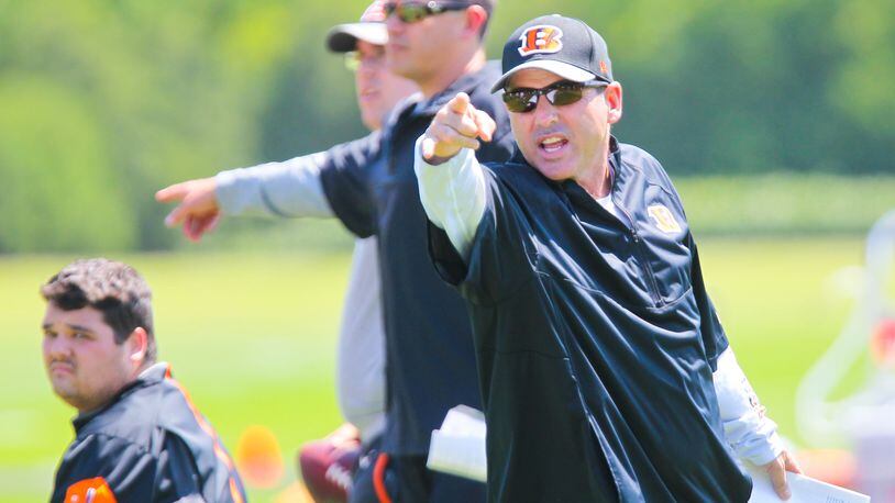 New Bengals offensive coordinator Ken Zampese yells instructions during the first OTA practice of the year, Tuesday, May 24, 2016. GREG LYNCH / STAFF