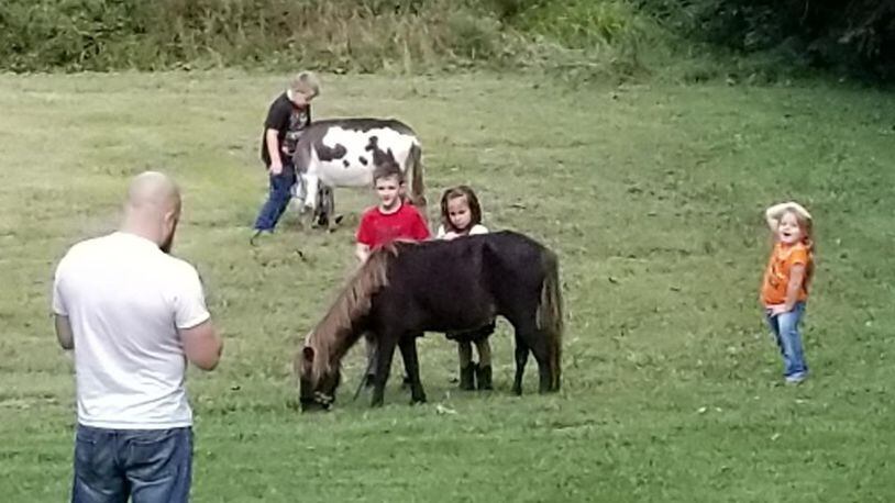 Howard Campbell’s grandchildren play with Simon, a miniature horse. Simon was one of three miniature horses attacked by dogs in St. Clair Twp. CONTRIBUTED Staff Writer