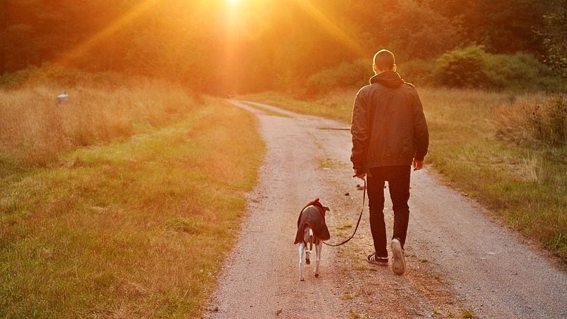 A new survey finds dog owners are happier than cat owners. Analysts speculated that one of the reasons could be that pet owners have stronger bonds with their dogs, which could create a greater sense of well-being.