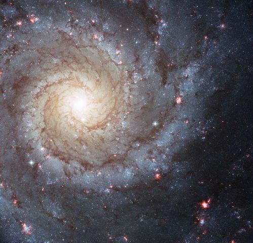 Spiral Galaxy M74