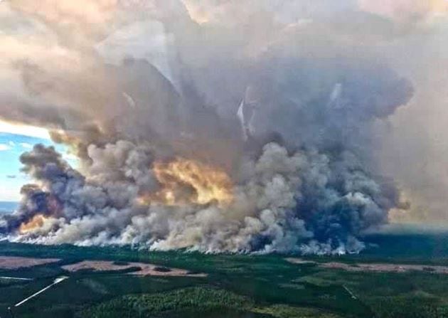 About 320 Florida wildfires intentionally set