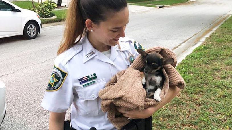 A 3-month-old puppy was rescued from a storm drain Tuesday by two Hillsborough County Sheriff’s Office deputies.