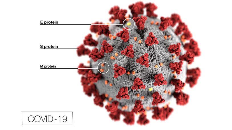 This illustration, created at the Centers for Disease Control and Prevention (CDC), reveals ultrastructural morphology exhibited by coronaviruses. Note the spikes that adorn the outer surface of the virus, which impart the look of a corona surrounding the virion, when viewed electron microscopically. In this view, the protein particles E, S, and M, also located on the outer surface of the particle, have all been labeled as well. A novel coronavirus, named Severe Acute Respiratory Syndrome coronavirus 2 (SARS-CoV-2), was identified as the cause of an outbreak of respiratory illness first detected in Wuhan, China in 2019. The illness caused by this virus has been named coronavirus disease 2019 (COVID-19).