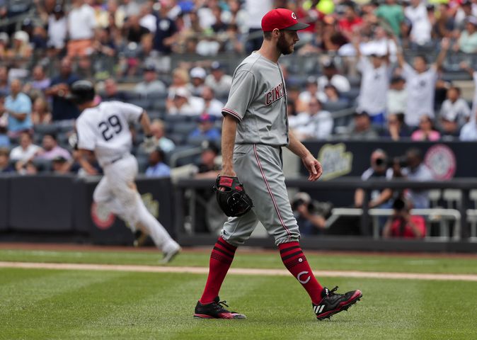 Reds fall to Yankees
