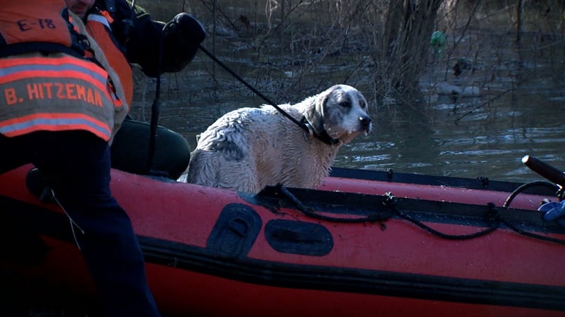 Cincinnati Fire Heavy Rescue put on their cold weather gear Friday to rescue a dog stranded in a flood zone Friday. WCPO-TV