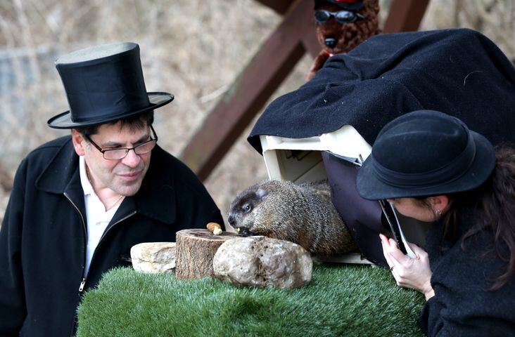Groundhog day in Dayton throughout the years