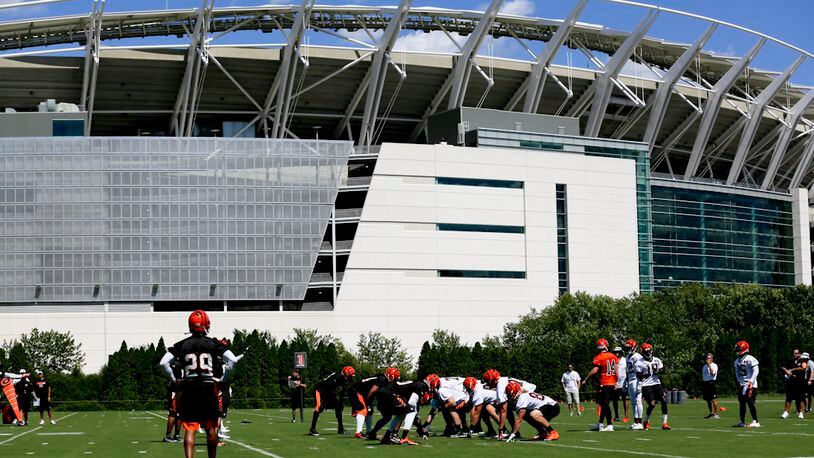 Fans watch the opening day of Bengals training camp, Friday, July 31, 2015. GREG LYNCH / STAFF
