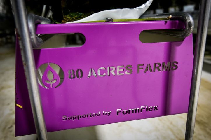 80 Acres Farms now operating in downtown Hamilton