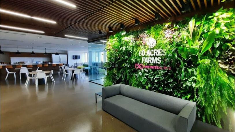 80 Acres, the cutting-edge indoor farming company, has its headquarters on the seventh floor of Hamilton's city-government tower. PROVIDED