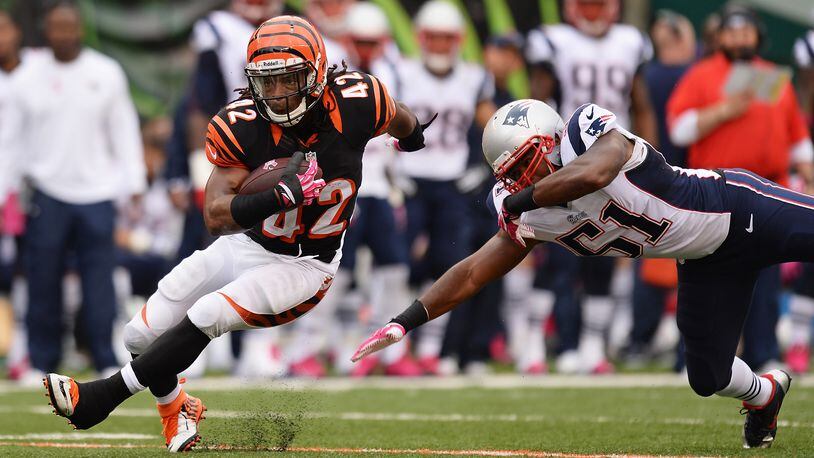 CINCINNATI, OH - OCTOBER 6: BenJarvus Green-Ellis #42 of the Cincinnati Bengals breaks a tackle attempt from Jerod Mayo #51 of the New England Patriots in the first quarter while gaining yardage at Paul Brown Stadium on October 6, 2013 in Cincinnati, Ohio. (Photo by Jamie Sabau/Getty Images)