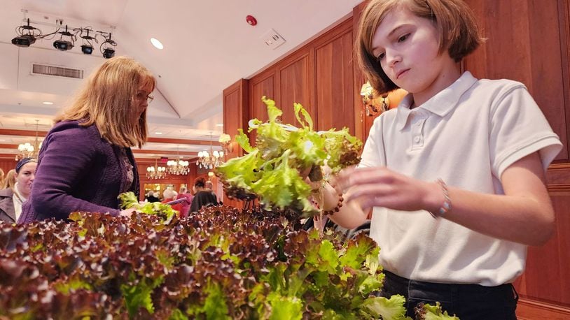 Walter Allman, a fifth-grader at St. Joseph Consolidated School, picks lettuce to eat after Tisha Livingston, co-founder of 80 Acres Farms and CEO of Infinite Acres, the technology company that supports 80 Acres Farms, spoke to a sellout crowd at the Celebrating Self series luncheon at Fitton Center for Creative Arts Wednesday, Jan. 11, 2023 in Hamilton. Livingston talked about the history of 80 Acres Farms and their indoor vertical farming process. Fifth-grade students from St. Joseph Consolidated School who are learning about ancient farming techniques were in attendance to learn and ask questions about farming. NICK GRAHAM/STAFF