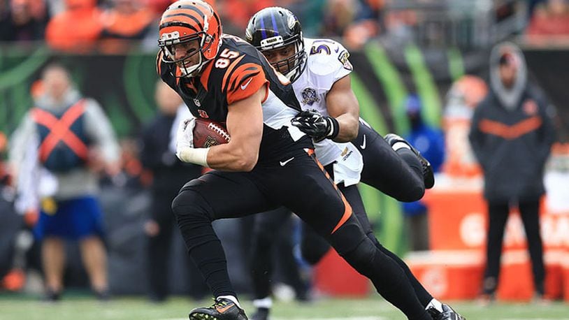 CINCINNATI, OH - JANUARY 3: Tight end Tyler Eifert #85 of the Cincinnati Bengals makes a catch while being tackled by inside linebacker Daryl Smith #51 of the Baltimore Ravens during the first quarter at Paul Brown Stadium on January 3, 2016 in Cincinnati, Ohio. (Photo by Andrew Weber/Getty Images)