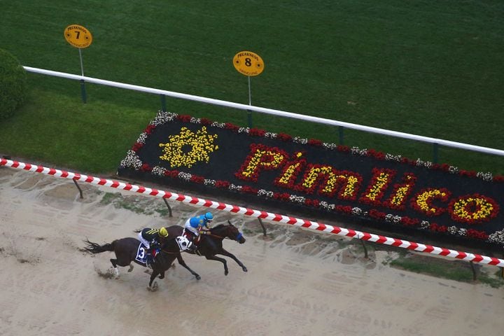 American Pharoah wins 2015 Preakness Stakes