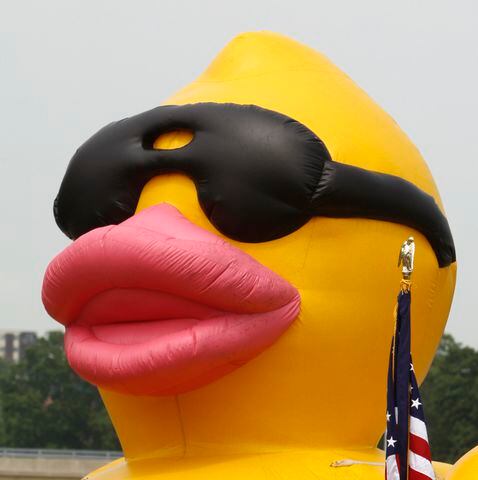 Rubber Duck Regatta history