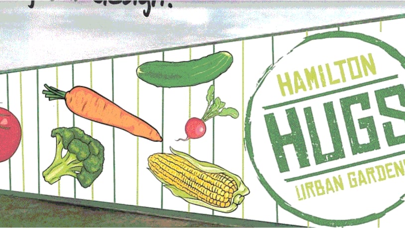 HUGS, Hamilton Urban Gardens, has won approval to place a shipping container on its Second Ward property for use as storage. PROVIDED