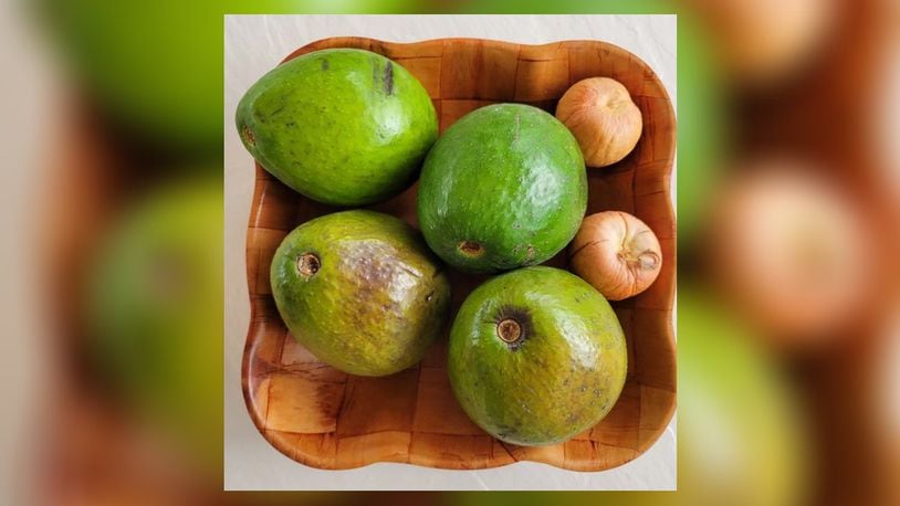 Florida avocados are large light smooth skin and hold their shape, so they are better suited for filling the space left by the pit. The special bonus with a Florida avocado is that a miniature tree sprouts from the pit when suspended in water. CONTRIBUTED