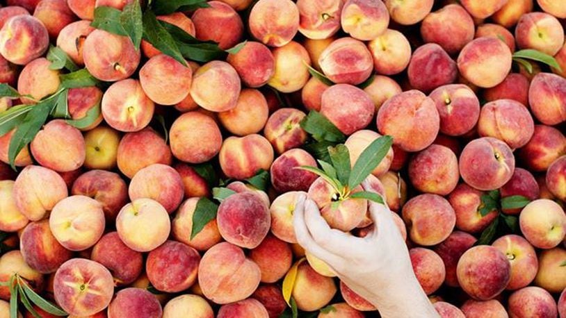The Peach Truck is coming to Dayton June 26