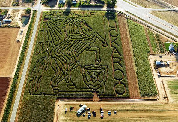 Corn mazes from around the world