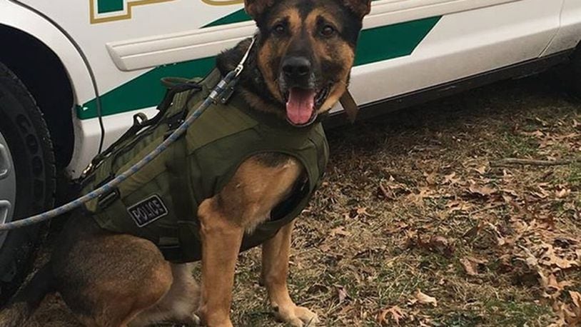 Green Twp. Police K-9 Dino (Contributed Photo/WCPO-TV)