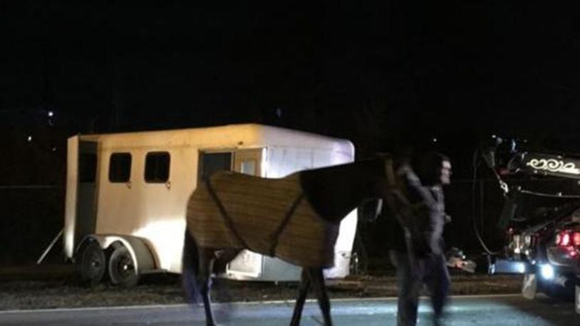 A horse valued at more than $100,000 was injured in a car accident. (Photo: Jarod Thrush/WHIO.com)