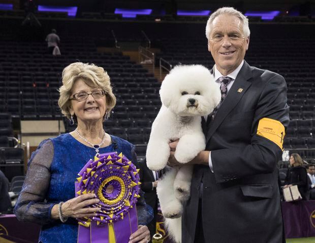 Photos: Westminster Dog Show 2018: Bichon frisé Flynn crowned best in show