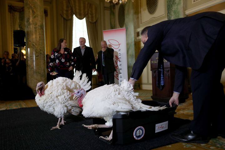 Trump pardons turkeys Peas and Carrots ahead of Thanksgiving