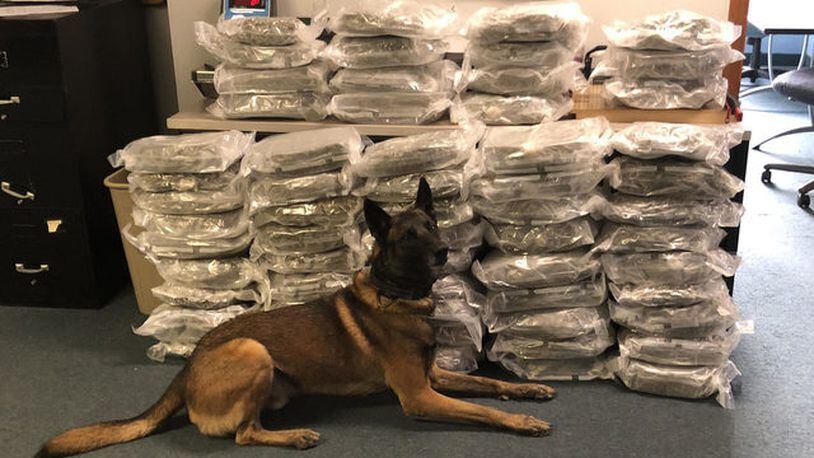 Johnstown Police Department officials seized 60 pounds of marijuana with the help of K-9 Thor.