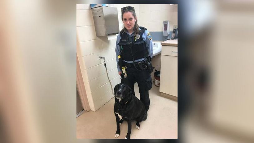 Toby the Labrador at Montgomery County Animal Resource Center with an ARC officer. Contributed photo from Montgomery County Animal Resource Center  Facebook