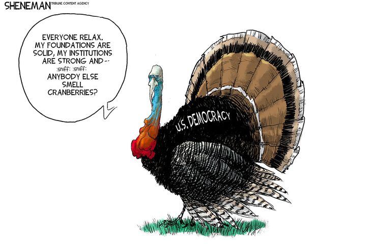 WEEK IN CARTOONS: Thanksgiving, Rittenhouse verdict, gas prices and more