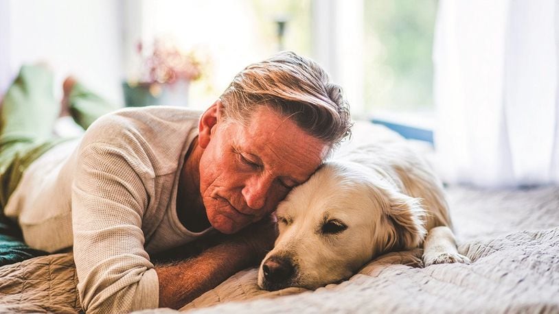 Pets bring many benefits to their owners’ lives, and they may be the perfect remedy for seniors looking for a friend and purpose.