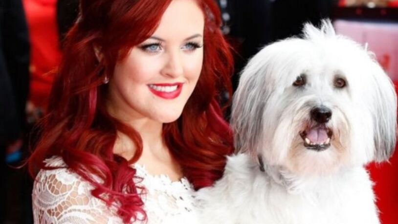 Ashleigh Butler and Pudsey  won the "Britain's Got Talent" competition in 2012.