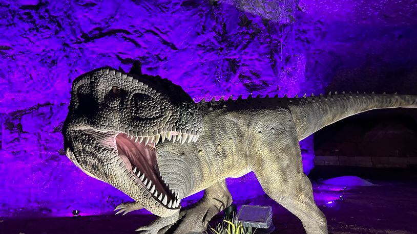 Dinosaurs return to Louisville Mega Cavern Feb. 18 with Dinos Under Louisville. The drive-thru features 80 animatronic dinosaurs and runs until April 30. CONTRIBUTED