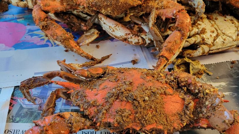 Steamed crabs are much messier to eat than lobster because some innards are inedible. Gills, lungs and other innards must be removed (by hand) because they were filtering waste when the crab was swimming in the Chesapeake Bay. CONTRIBUTED