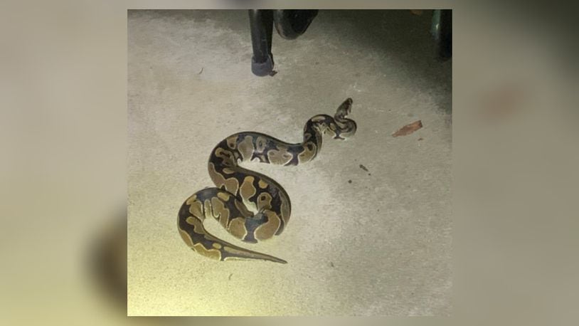 Franklin police responding to a trespassing complaint found a suspect trying to slither away. Officers are asking anyone missing a snake to call the police department.