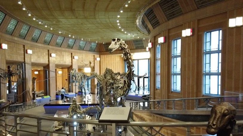 A newly re-imagined Dinosaur Hall opened as part of Cincinnati Museum Center's massive renovation. MICHAEL BENEDIC/WCPO