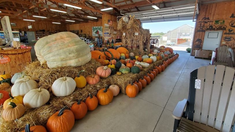 Butterfields Farm Market, on Trenton Oxford Road in Oxford, offers fall items in its store and has a corn maze on site. CONTRIBUTED