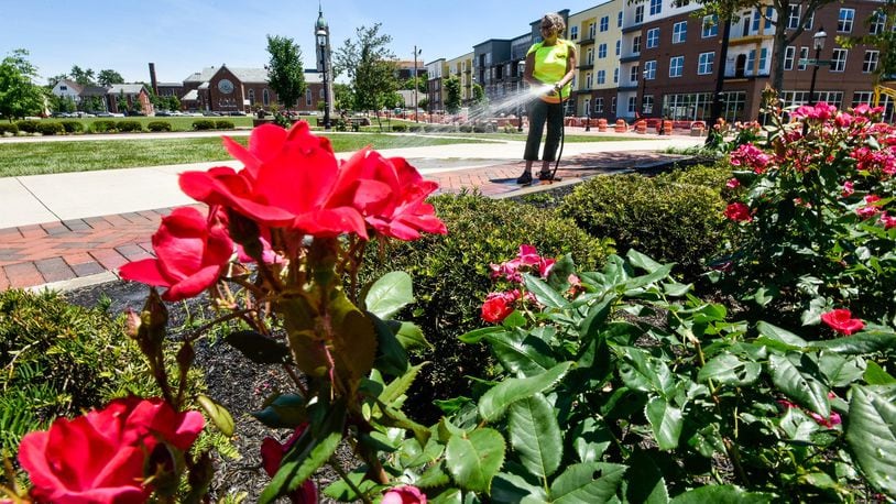 Janis Overholtser waters and plants flowers at Marcum Park with The Marcum, a mixed use retail and residential complex that is still under construction in Hamilton. NICK GRAHAM/STAFF