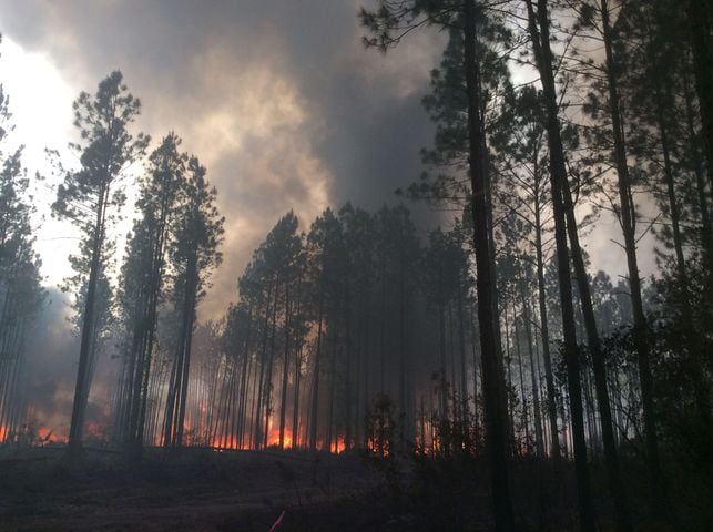 Fighting the Georgia wildfire