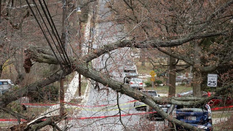 High winds downed a tree onto power lines, blocking the street and damaging a vehicle on Friday in Takoma Park, Maryland.