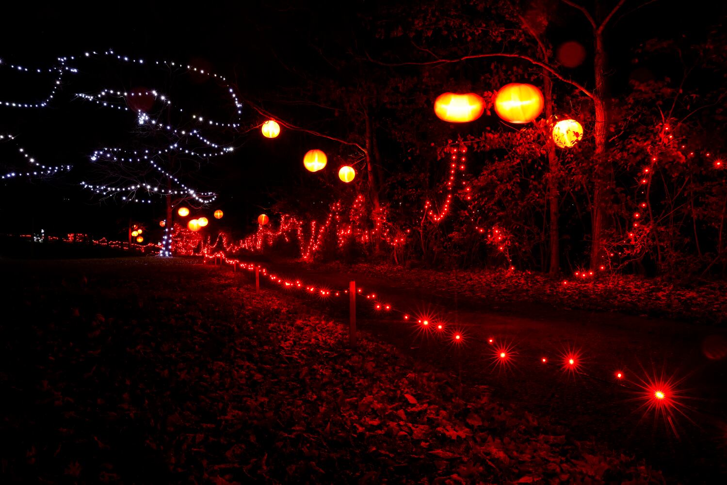 111622 Pyramid Hill lights