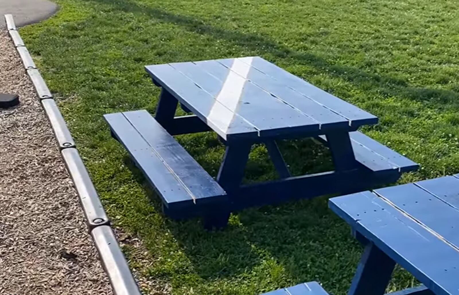 Three Riverview Elementary students led with an idea to get picnic tables at Jefferson Park through a 17Strong nanogrant. TVHAMILTON