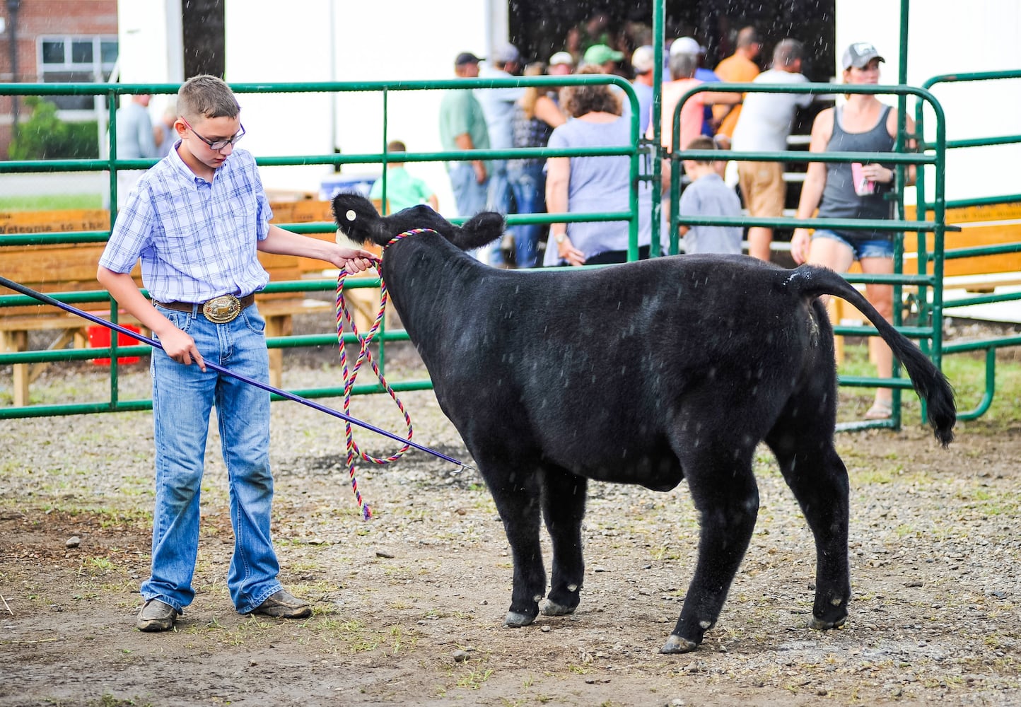 Scenes from the Butler County Fair 2019