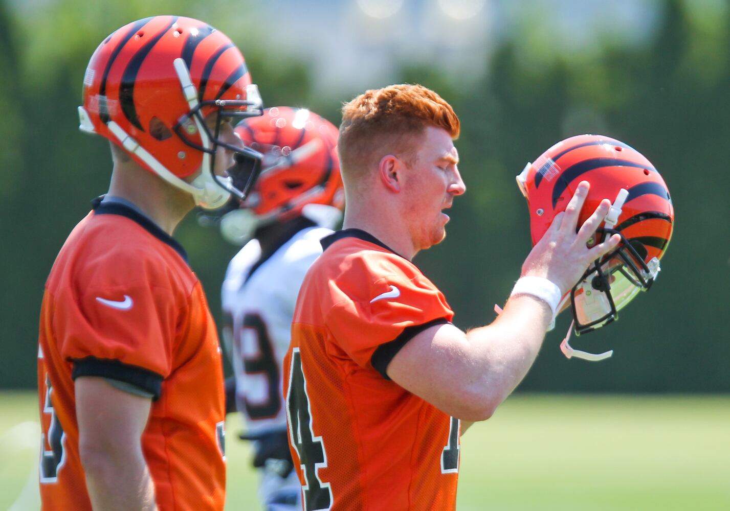 PHOTOS Andy Dalton through the years