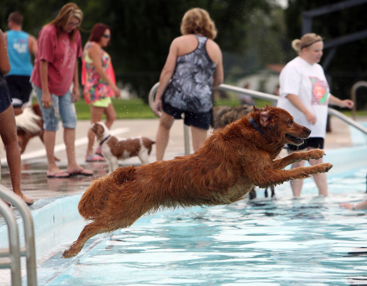 News hounds (8/20/15)